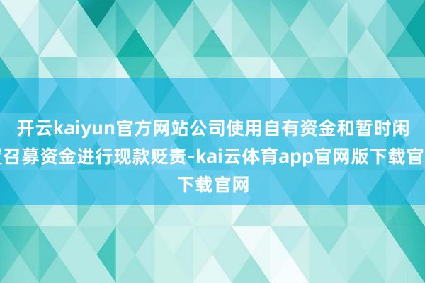 开云kaiyun官方网站公司使用自有资金和暂时闲置召募资金进行现款贬责-kai云体育app官网版下载官网