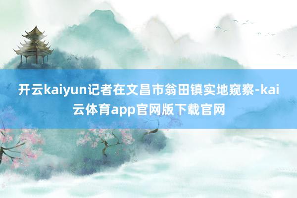 开云kaiyun记者在文昌市翁田镇实地窥察-kai云体育app官网版下载官网